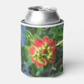 Rafraîchisseur Pour Canette Poinsettia sauvage (Can devant)