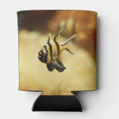 Rafraîchisseur Pour Canette Poisson-ange rayé solitaire (Dos)