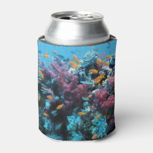 Rafraîchisseur Pour Canette Poisson orange tropical et corail rose