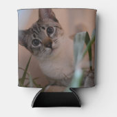 Rafraîchisseur Pour Canette Portrait photo de chat (Devant)