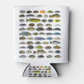 Rafraîchisseur Pour Canette Poster du groupe Cichlid (Devant)