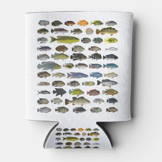 Rafraîchisseur Pour Canette Poster du groupe Cichlid (Devant)