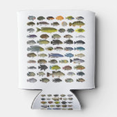 Rafraîchisseur Pour Canette Poster du groupe Cichlid (Dos)