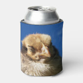 Rafraîchisseur Pour Canette poulet, animal, chèvre, oiseau, ferme, masque, mig (Can devant)