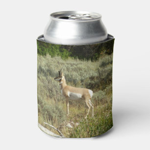 Rafraîchisseur Pour Canette Pronghorn au Parc national de Grand Teton