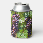 Rafraîchisseur Pour Canette Raisins (Can Dos)