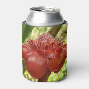 Rafraîchisseur Pour Canette Red Torch Ginger Tropical Flower Photographie