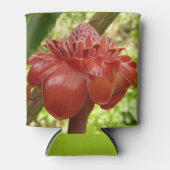 Rafraîchisseur Pour Canette Red Torch Ginger Tropical Flower Photographie (Devant)