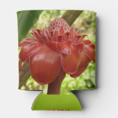 Rafraîchisseur Pour Canette Red Torch Ginger Tropical Flower Photographie (Dos)
