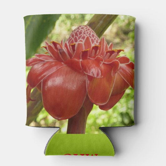 Rafraîchisseur Pour Canette Red Torch Ginger Tropical Flower Photographie (Dos)