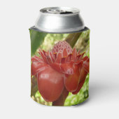 Rafraîchisseur Pour Canette Red Torch Ginger Tropical Flower Photographie (Can Dos)