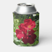 Rafraîchisseur Pour Canette Roses simples rouges (Can Dos)