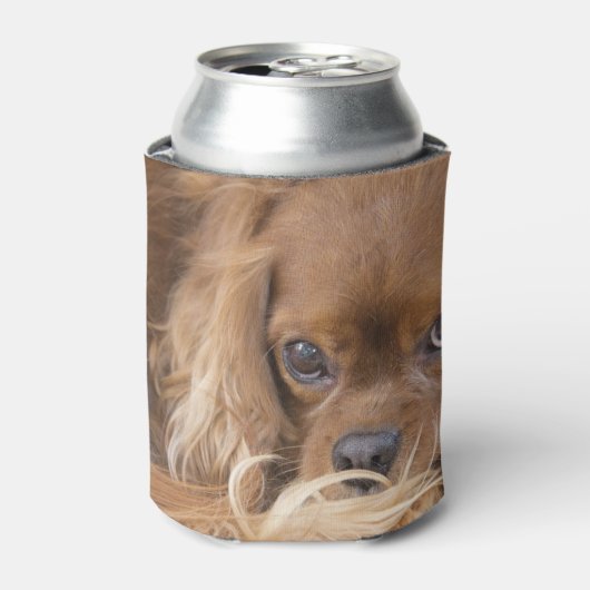 Rafraîchisseur Pour Canette Ruby Cavalier King Charles Spaniel (Can devant)