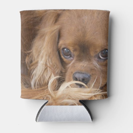 Rafraîchisseur Pour Canette Ruby Cavalier King Charles Spaniel (Devant)