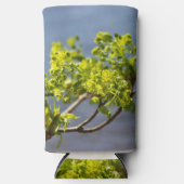 Rafraîchisseur Pour Canette Slim Branche verte mignonne dans le vent (Recto)