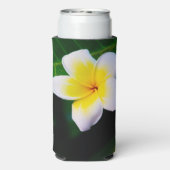Rafraîchisseur Pour Canette Slim plumeria (Seltzer Verso)