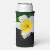 Rafraîchisseur Pour Canette Slim plumeria (Seltzer Recto)