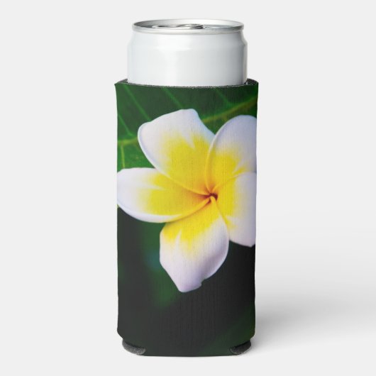 Rafraîchisseur Pour Canette Slim plumérie (Seltzer Verso)