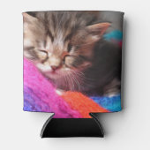 Rafraîchisseur Pour Canette Soft Sleepy Newborn Kitten Phototgraph (Devant)