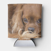Rafraîchisseur Pour Canette Spaniel Cavalier King Charles Ruby (Devant)