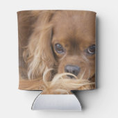 Rafraîchisseur Pour Canette Spaniel Cavalier King Charles Ruby (Dos)