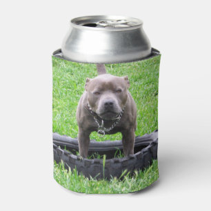 Rafraîchisseur Pour Canette Staffordshire Bull Terrier, Temps De Jeu,