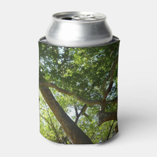 Rafraîchisseur Pour Canette Sycamore Tree Nature verte