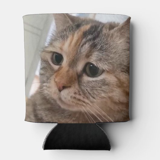 Rafraîchisseur Pour Canette Talking Cats Mème double face Noir (Dos)