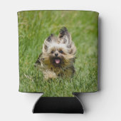 Rafraîchisseur Pour Canette Terrier Yorkshire mignon Traversant L'Herbe (Dos)