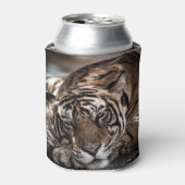 Rafraîchisseur Pour Canette Tigre de Ranthambore : gros plan. (Can devant)