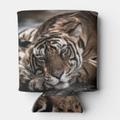 Rafraîchisseur Pour Canette Tigre de Ranthambore : gros plan. (Dos)