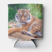 Rafraîchisseur Pour Canette Tigre de rappel relaxant (Devant)