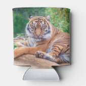 Rafraîchisseur Pour Canette Tigre de rappel relaxant (Dos)