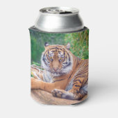 Rafraîchisseur Pour Canette Tigre de rappel relaxant (Can Dos)