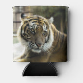 Rafraîchisseur Pour Canette Tigre du Bengale (Devant)