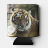 Rafraîchisseur Pour Canette Tigre du Bengale (Dos)