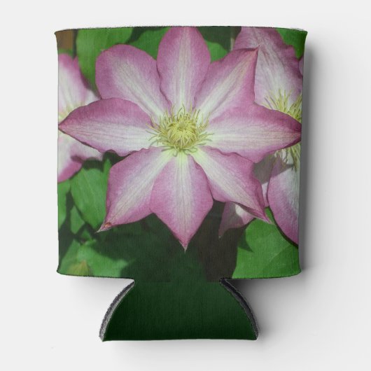 Rafraîchisseur Pour Canette Trio de Clematis Pink and White Spring Vine (Devant)