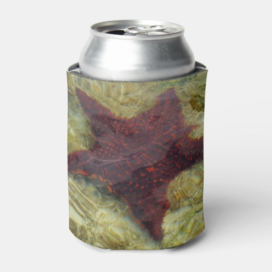 Rafraîchisseur Pour Canette Underwater Starfish in the Bahamas (Can devant)