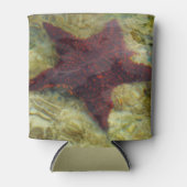 Rafraîchisseur Pour Canette Underwater Starfish in the Bahamas (Devant)