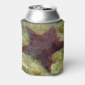 Rafraîchisseur Pour Canette Underwater Starfish in the Bahamas (Can Dos)