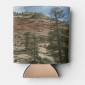 Rafraîchisseur Pour Canette Worn Rock Walls dans le Parc national de Sion (Devant)