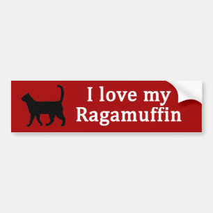 Ragamuffin Liefde Bumpersticker