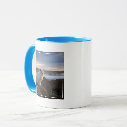 Ragdolkat bij het strand mok (Voorkant links)