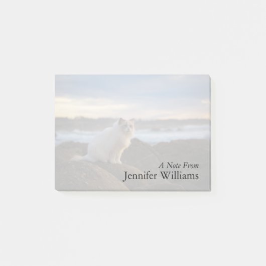 Ragdolkat bij het strand post-it® notes (Voorkant)