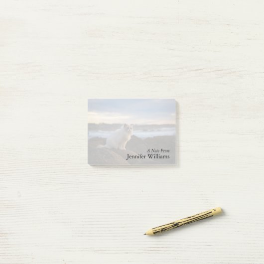 Ragdolkat bij het strand post-it® notes (Op bureau)