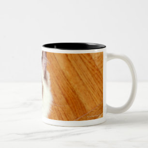 Ragdolkat op de vloer, verhoogd uitzicht tweekleurige koffiemok