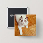 Ragdolkat op de vloer, verhoogd uitzicht vierkante button 5,1 cm (Voorkant /achterkant)