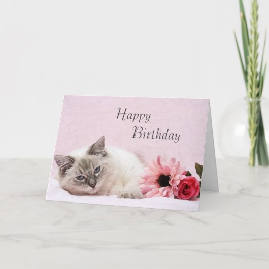 Ragdoll Birthday Card Kaart (Voorkant)