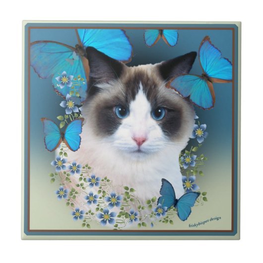 Ragdoll Blue Eyes Tiles Tegeltje (Voorkant)