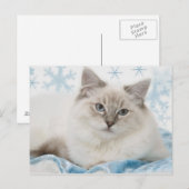 ragdoll briefkaart (Voorkant / Achterkant)